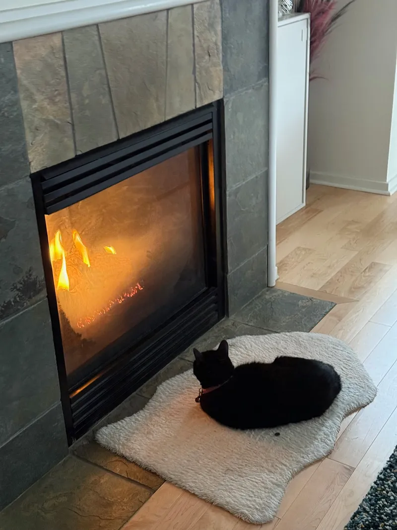 Gas Fireplace Ideas for Open Floor Plans: What Works, What Doesn't, and What Eastside Homes Get Wrong